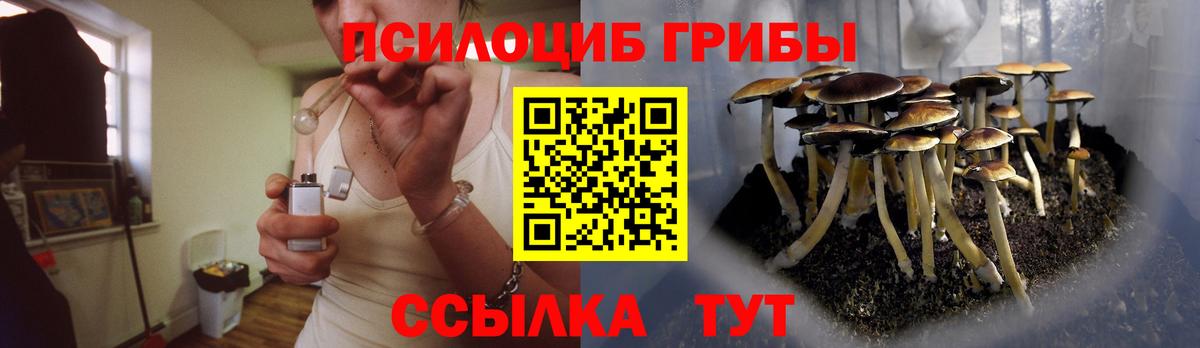 Галлюциногенные грибы GOLDEN TEACHER  купить закладку  Вход с VPN  Мелеуз  Псилоцибиновые грибы мицелий 